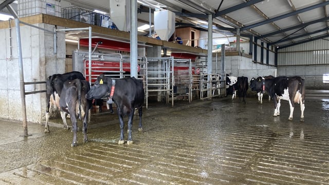 Buildings Focus: Laying the foundations for the next generation in Co. Galway