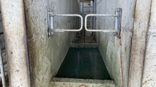 Research will assess biocide usage patterns in Irish agriculture