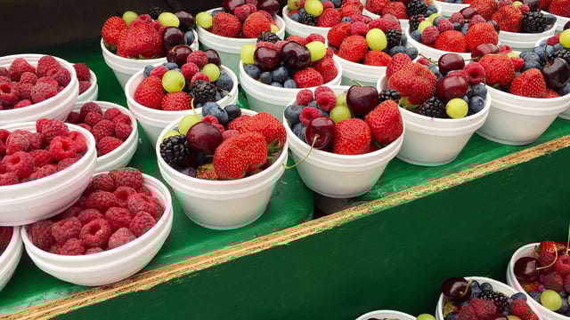 The 'increasing need' for plant-based food - DLL