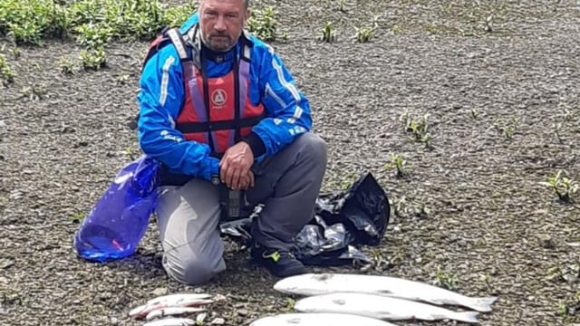 Authorities investigate major fish kill with 2,000 fish dead