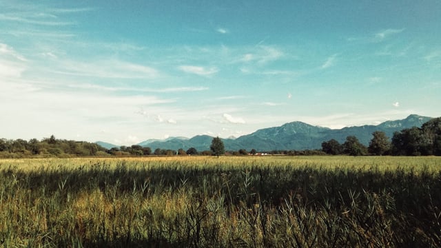 German agriculture report proposes restructuring of direct payments