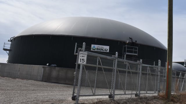 No need for anaerobic digestion pilot scheme - MEP