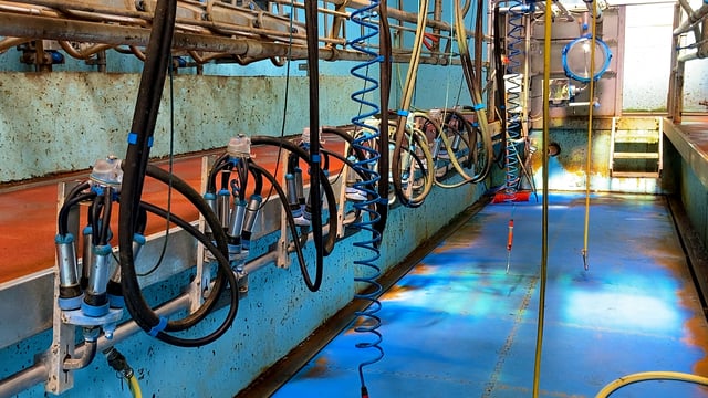 Could you save more energy on your dairy farm?