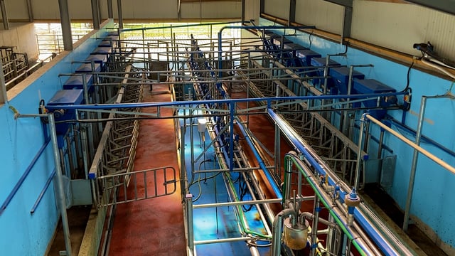 Buildings Focus: A 16-unit parlour, handling facilities and 70 cubicles in Kilkenny