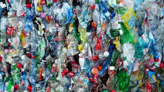 DAERA seeks ideas on how to eliminate plastic litter in NI