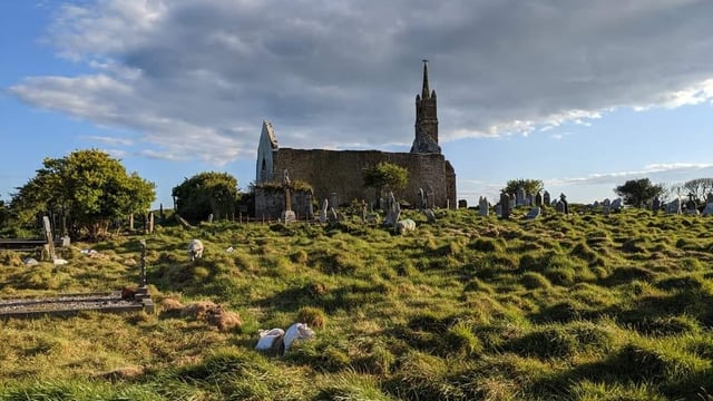 Historic graves from the 1800s uncovered by sheep in Cork