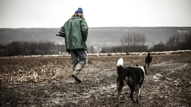 State services must 'focus on connectedness' to reduce loneliness in rural areas