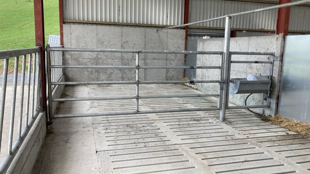 DAFM: Almost 80% of TAMS tranche 1 applications approved