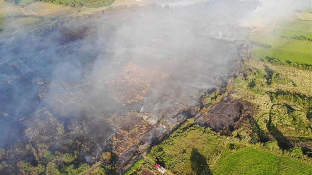 Pics: Emergency services tackle 2 large gorse fires