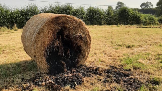 Appeal for information after bales set alight in field