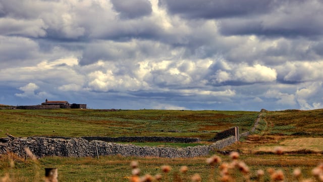 Creative farming projects taking climate action to benefit from €2m fund