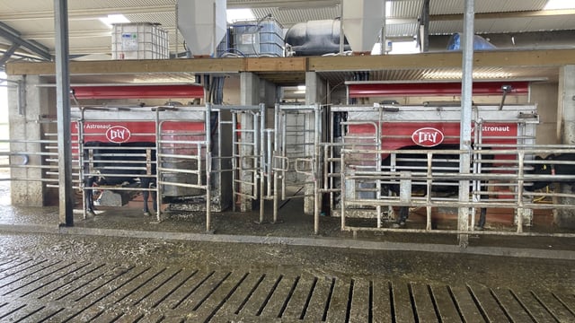 Budget 2023: Dairy and pig farms to benefit from energy supports