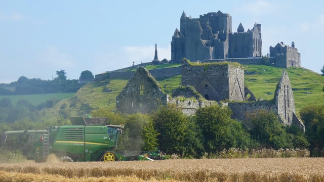 Pics: How is Harvest 2021 progressing in the south?