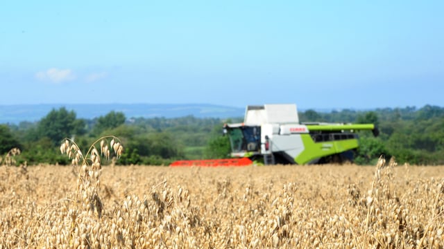 Flahavan's launches 2023 Oat Grower of the Year award