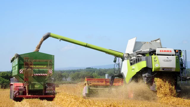 Part 1: A Kildare man’s experience of farming in Romania