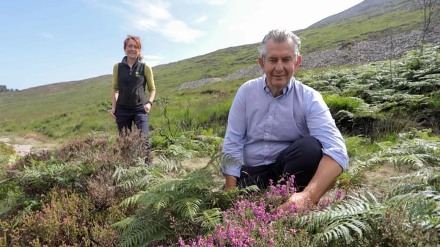 Poots commits £332,000 to aid Mournes Wildfire Recovery