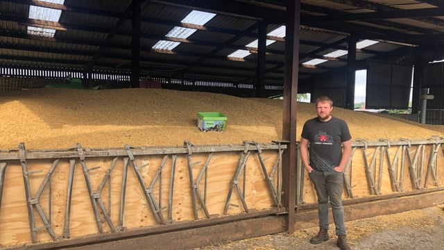 Watch: Farmer Phil's calves jump for joy with space hoppers