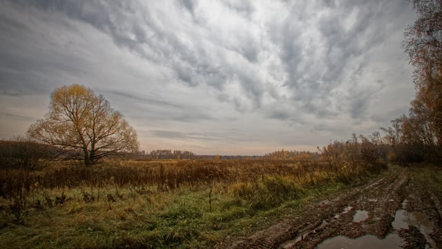Thunderstorm warning issued for 7 counties