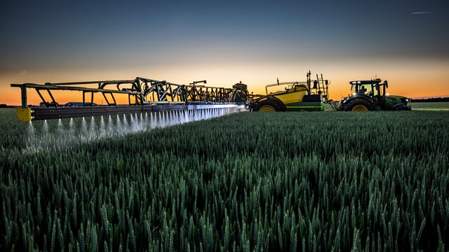 Complicated interaction between aphids and BYDV - research