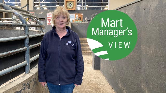 Roscommon Mart: Cull ewes top €170 and hoggets remain steady