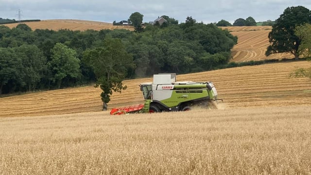 Harvest 2021: Propionic acid supply issues impacting grain treatment