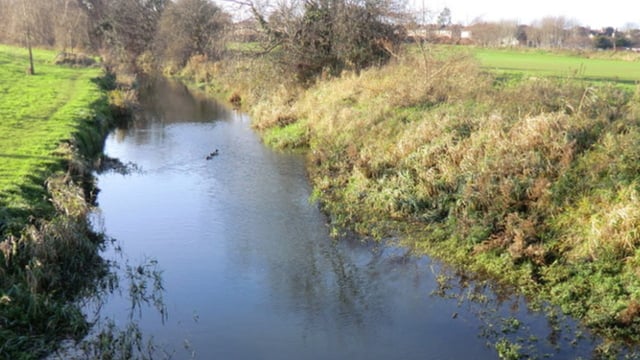 EU calls on Ireland to finalise 'late' water management review