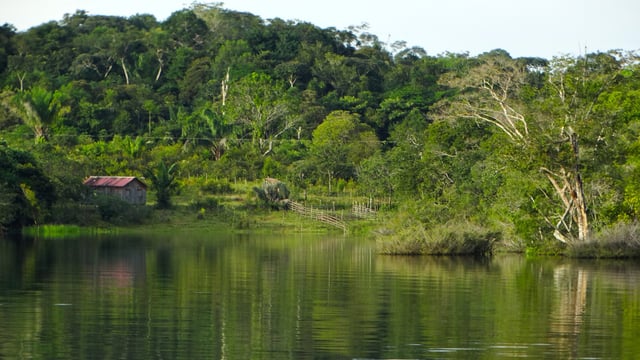 Study: Increased agriculture contributes to surface water decline in Brazil