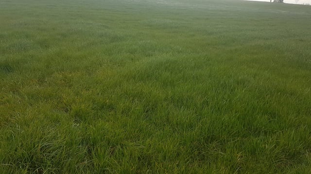 Autumn is the ideal time to complete soil sampling