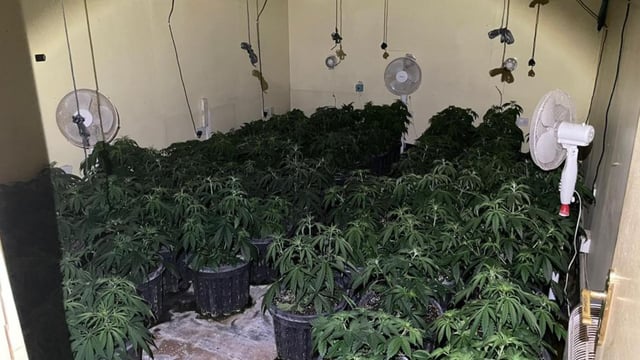Grow house discovered in shed in Co. Meath