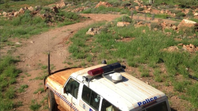 35 horses shot dead on rural property in Queensland