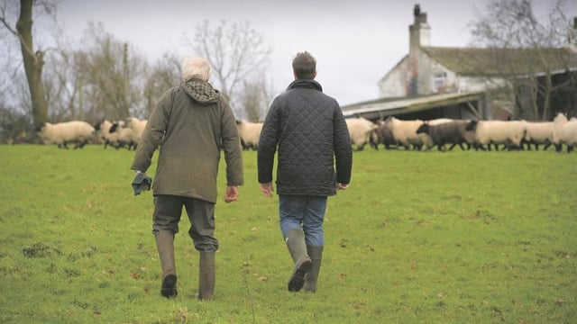 Generational renewal: Policy, incentives and cultural shifts needed