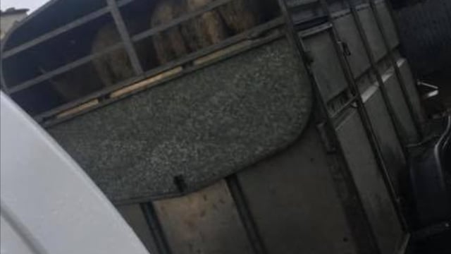 Info sought following theft of cattle trailer from yard