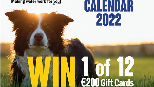 Working dog calendar comp: Will your pup make the cut?