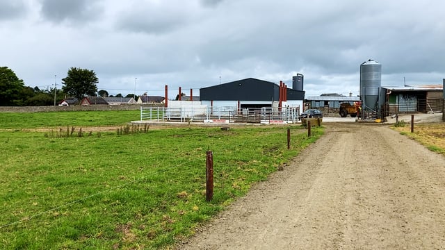 Buildings Focus: Settling in nicely to a new modern dairy unit in Co. Tipperary