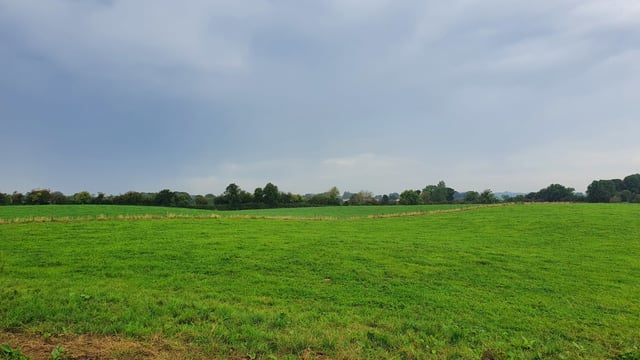 Farmers 'live in fear of the tax implications of RZLT'