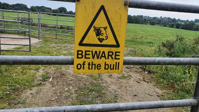 Thinking about bull safety as the breeding season continues