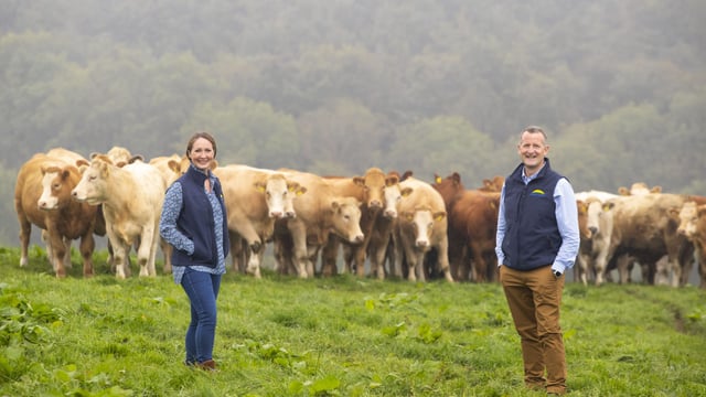 Dawn Meats reduces GHG emissions by 248,000t in 2020