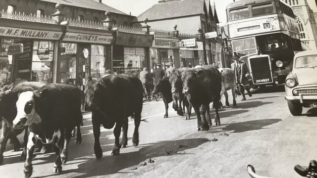 History of agricultural advisory services launched