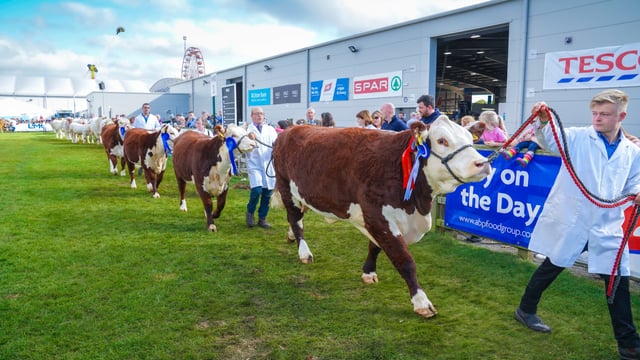 2021 Balmoral Show attendance 'around two-thirds' of normal turn-out