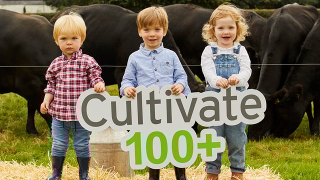 Cultivate finance lending platform sees beef farmers apply for most loans