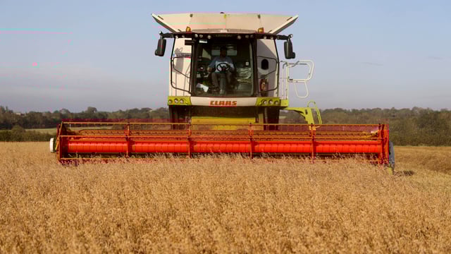 Tillage farmers 'at distinct disadvantage' in ACRES