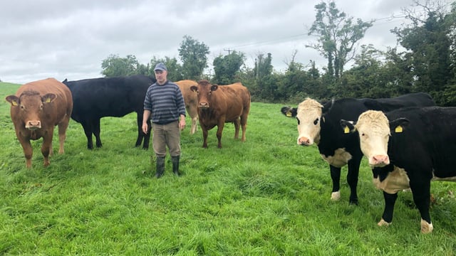 'CAP reform is slowly making suckler-beef farms unviable'