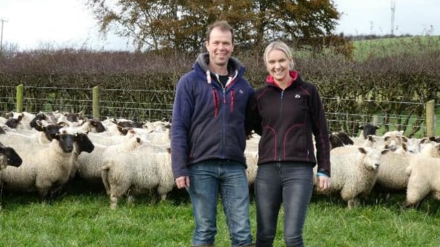 Fancy becoming one of NI's new Sheep Technology Demonstration Farms?