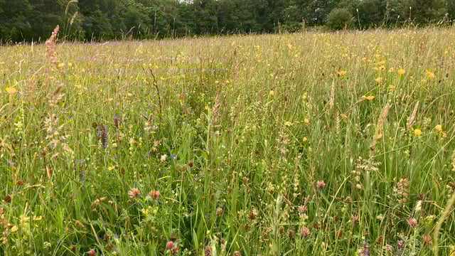 'Farming for Nature - not against it': Two farm walks to take place this week