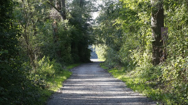 Law Society 'pleased that concerns have been heard' on right of way