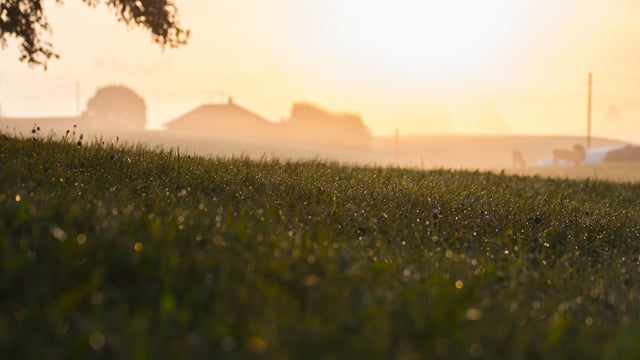 87% of global agri producer support is 'price distorting and environmentally harmful' - UN