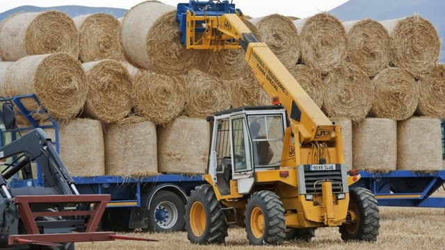 Straw: To bale or chop now?
