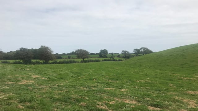 Embracing cow management technology in Co. Wexford