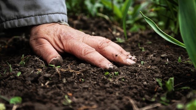 Researchers urged to apply for €62m soil-health funding