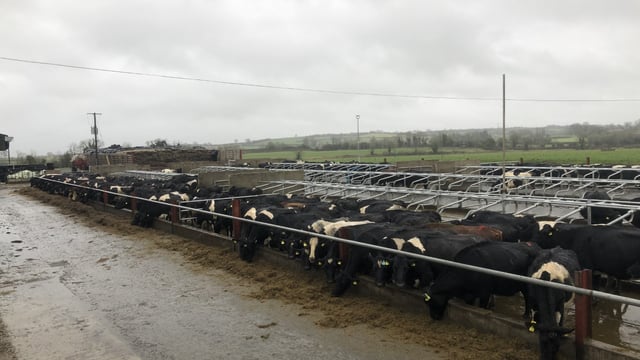 Soiled water storage: No need to cover open yards or topless cubicles - DAFM